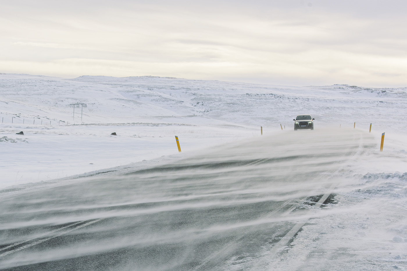 Ausstellung Roadtrip into white - Peter Danielzick und Peter Went 1
